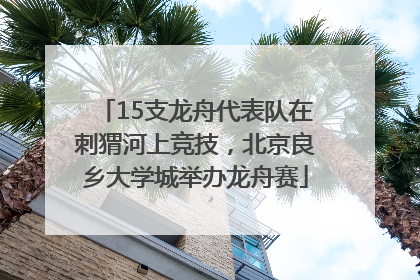 15支龙舟代表队在刺猬河上竞技，北京良乡大学城举办龙舟赛