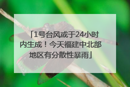 1号台风或于24小时内生成！今天福建中北部地区有分散性暴雨