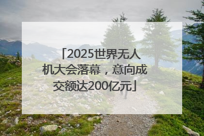 2025世界无人机大会落幕，意向成交额达200亿元