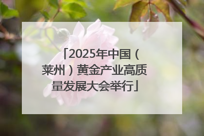 2025年中国（莱州）黄金产业高质量发展大会举行