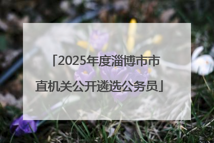 2025年度淄博市市直机关公开遴选公务员
