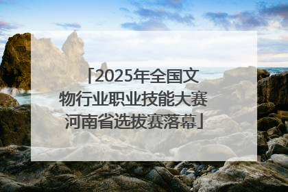 2025年全国文物行业职业技能大赛河南省选拔赛落幕