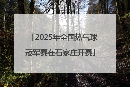 2025年全国热气球冠军赛在石家庄开赛