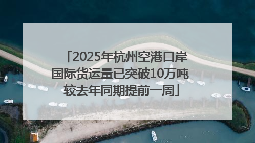 2025年杭州空港口岸国际货运量已突破10万吨 较去年同期提前一周