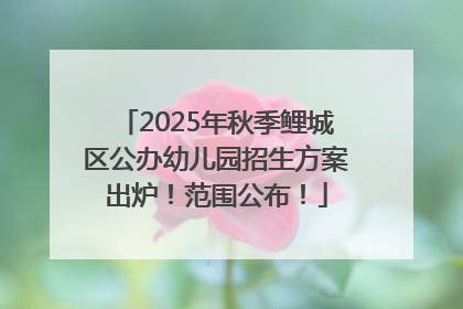 2025年秋季鲤城区公办幼儿园招生方案出炉！范围公布！