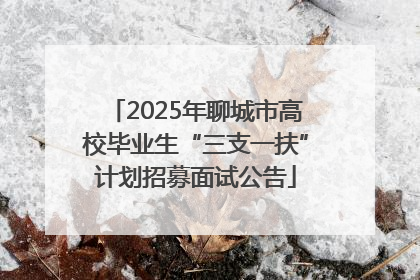 2025年聊城市高校毕业生“三支一扶”计划招募面试公告