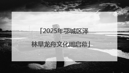 2025年鄂城区泽林旱龙舟文化周启幕