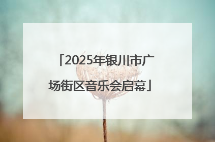 2025年银川市广场街区音乐会启幕