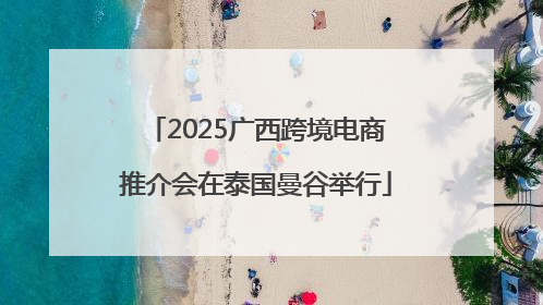 2025广西跨境电商推介会在泰国曼谷举行