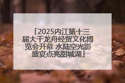 2025内江第十三届大千龙舟经贸文化博览会开幕 水陆空光影盛宴点亮甜城湖
