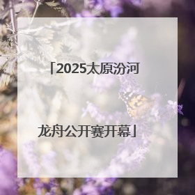 2025太原汾河龙舟公开赛开幕