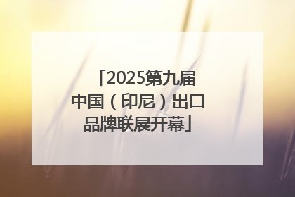 2025第九届中国（印尼）出口品牌联展开幕
