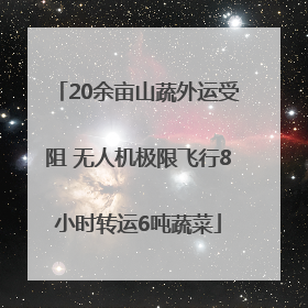 20余亩山蔬外运受阻 无人机极限飞行8小时转运6吨蔬菜