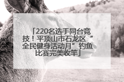 220名选手同台竞技！平顶山市石龙区“全民健身活动月”钓鱼比赛完美收竿