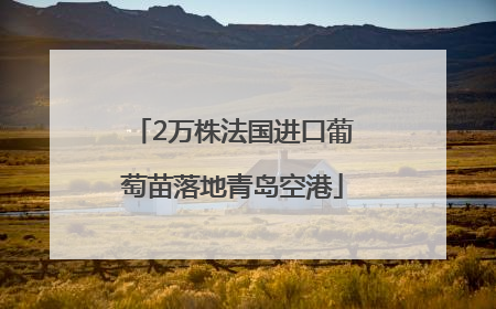 2万株法国进口葡萄苗落地青岛空港