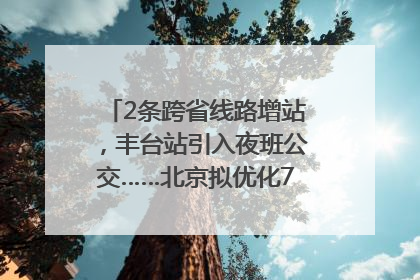 2条跨省线路增站，丰台站引入夜班公交……北京拟优化7条公交线！