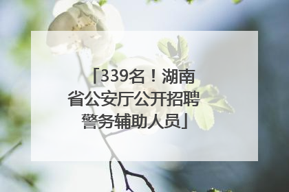 339名！湖南省公安厅公开招聘警务辅助人员