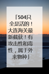 504只全是活的！大连海关最新截获！有攻击性和毒性，属于外来物种