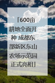 600亩耕地全面开种 成都东部新区东山农场示范园正式亮相