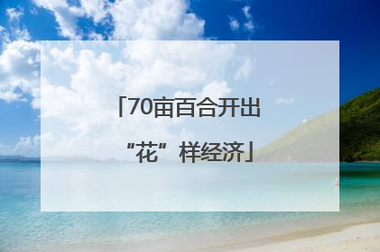 70亩百合开出“花”样经济