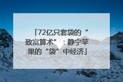 72亿只套袋的“致富算术”：静宁苹果的“袋”中经济