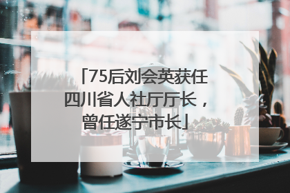 75后刘会英获任四川省人社厅厅长，曾任遂宁市长