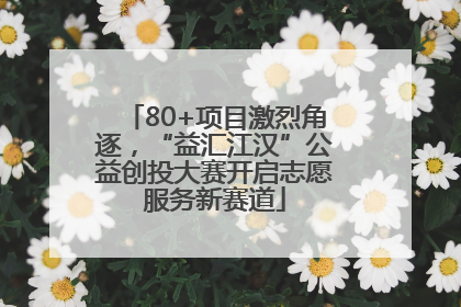 80+项目激烈角逐，“益汇江汉”公益创投大赛开启志愿服务新赛道