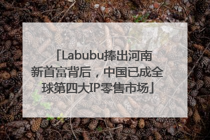 Labubu捧出河南新首富背后，中国已成全球第四大IP零售市场